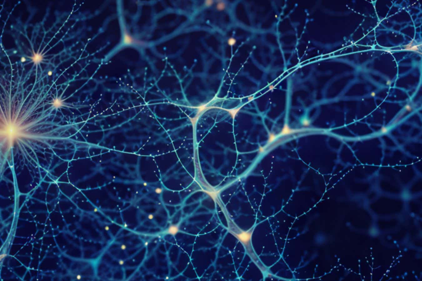 Mysteries of the endocannabinoid system and how we're unravelling them