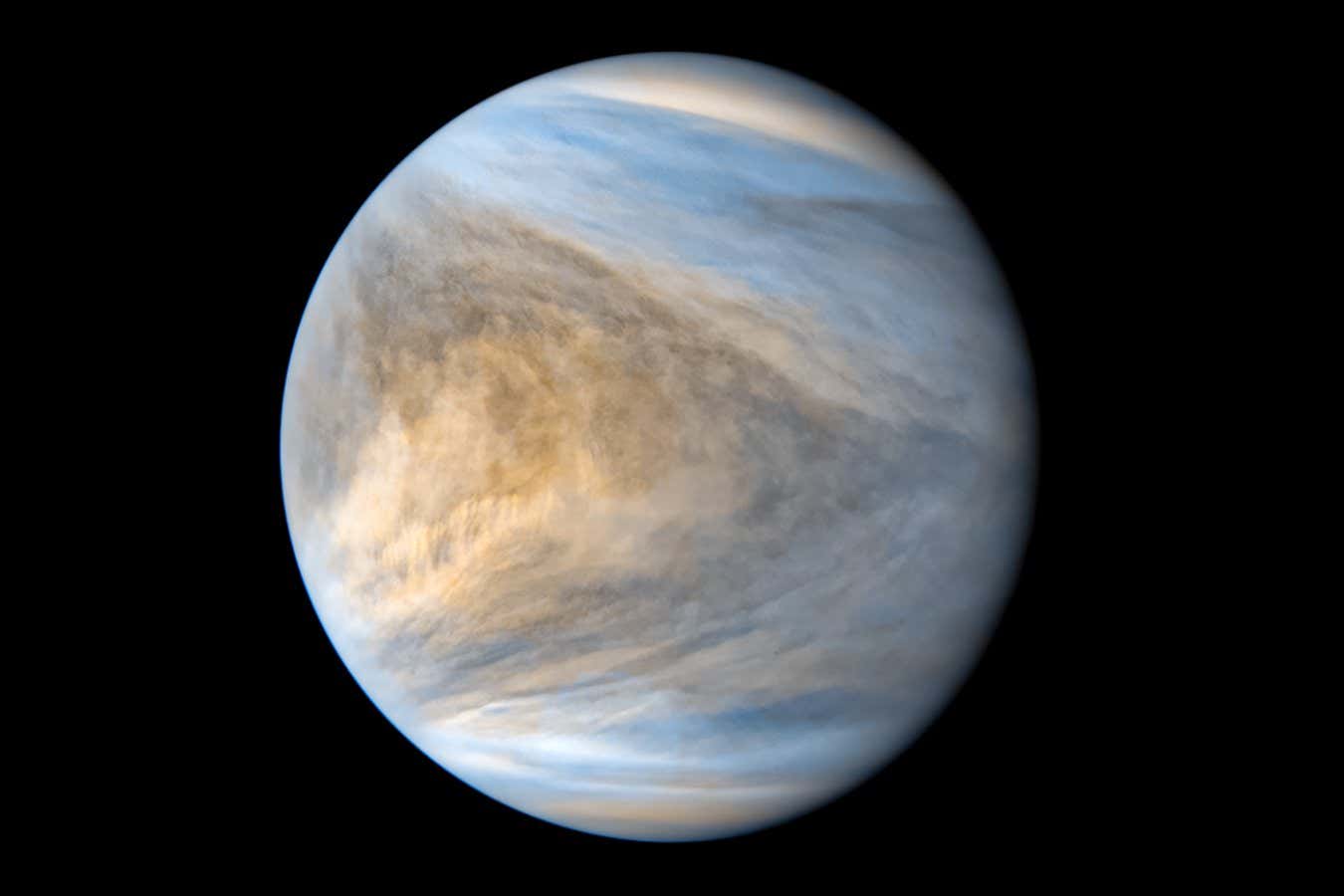Molecules vital for life could survive in Venus’s acid clouds